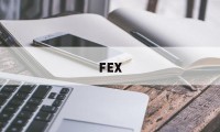 FEX(fexdex)
