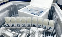 Biotin-11-ddUTP 用于寡核苷酸标记 的原理是什么