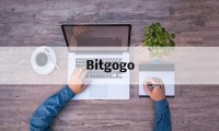 Bitgogo(BiTgo公司购买了哪些虚拟币)