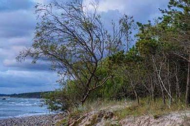 币雅(币雅交易所怎么样)