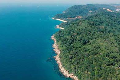 币雅(币雅交易所怎么样)