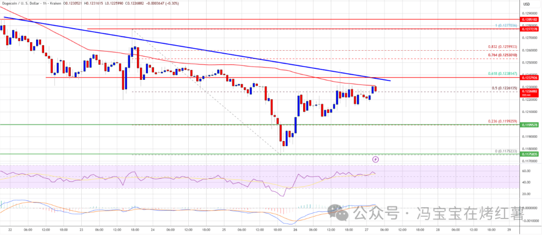 狗狗币（DOGE）最新走势：突破0.12美元后遇阻，下一步看涨还是回调？
