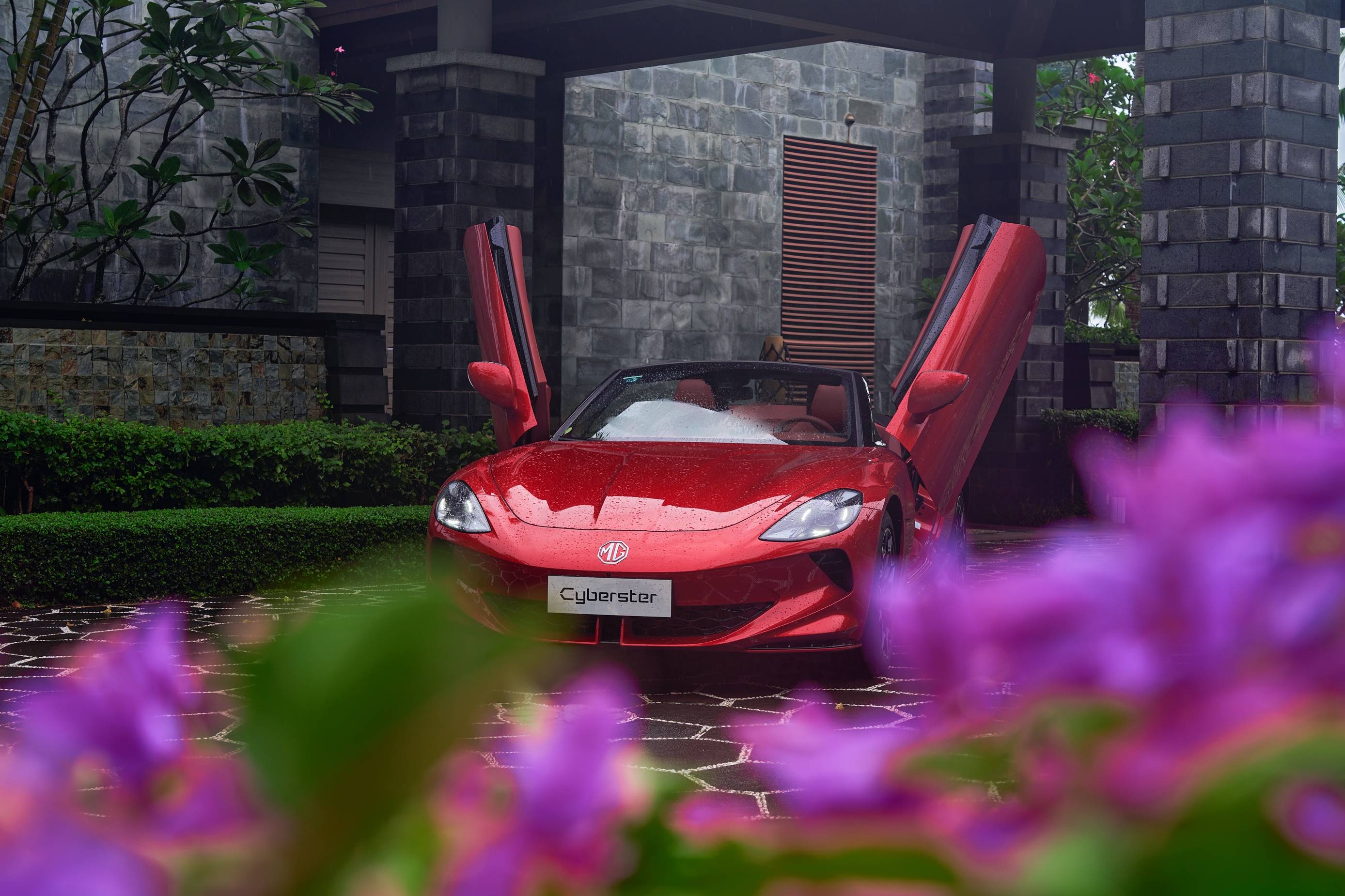 STEX(山田二型息肉是良性还是恶性)