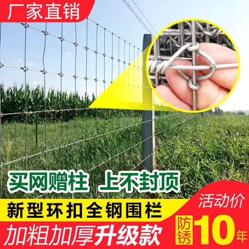 Q网(q网络用词是什么意思) Q网(q网络用词是什么意思)