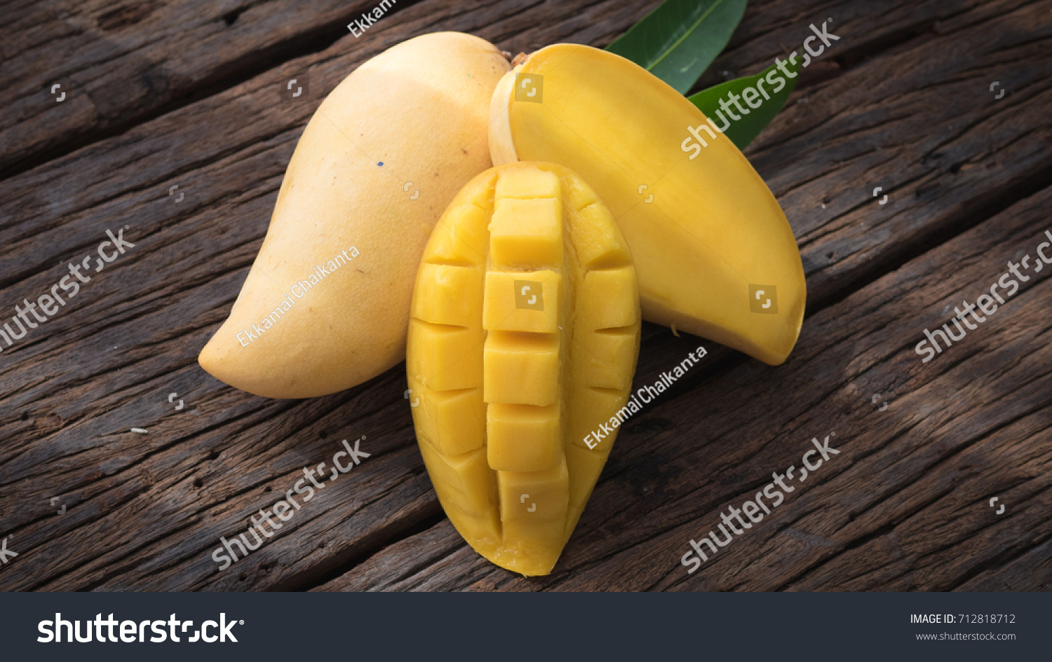 MangoPro(mangoparty)