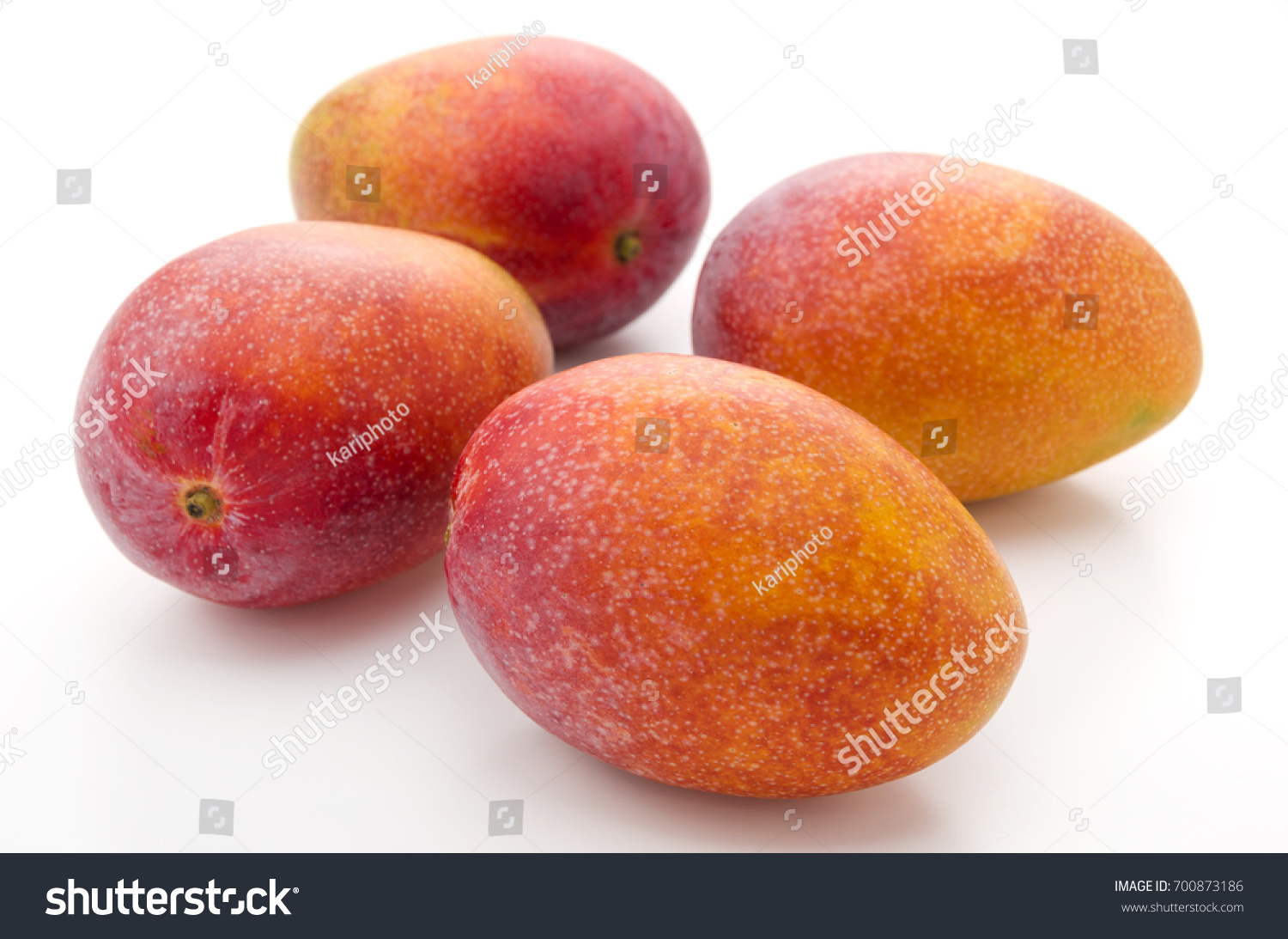 MangoPro(mangoparty)