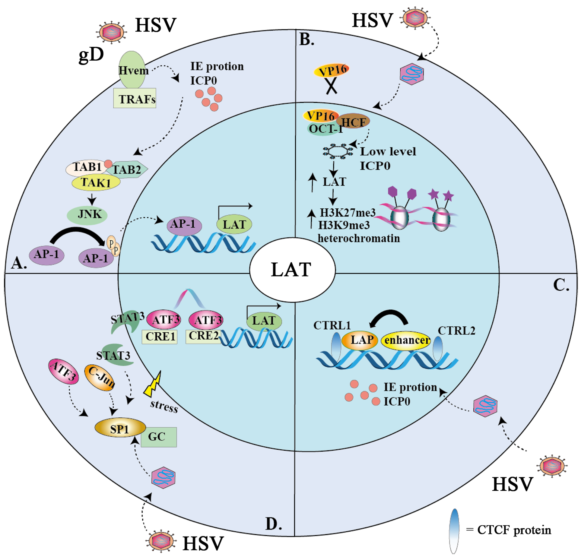 1inch(1inch等于多少mil)