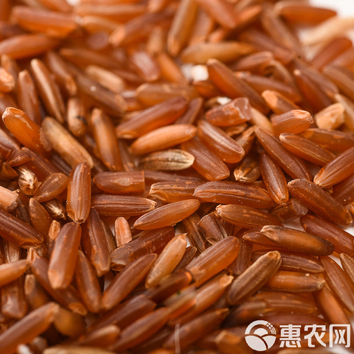 红米(红米k80至尊版)