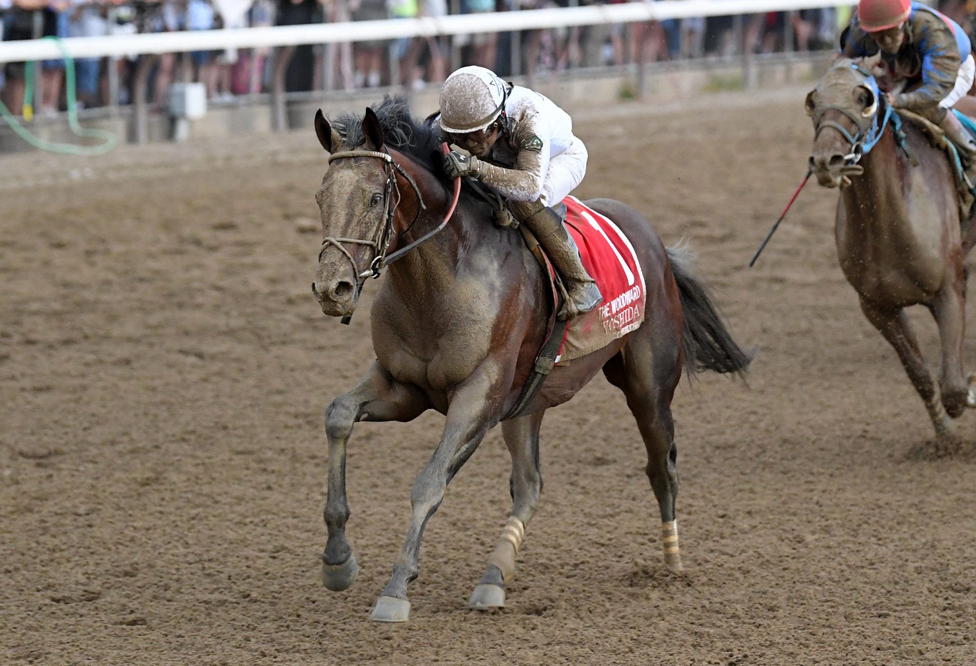 Kuna(苦难是文学的温床)