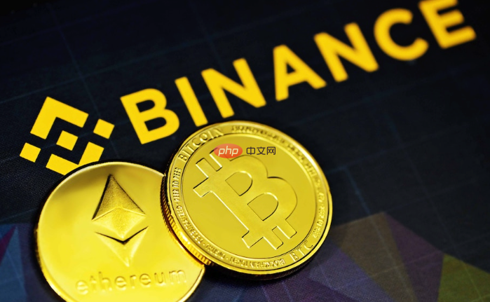 币安下载(如何下载币 安app)