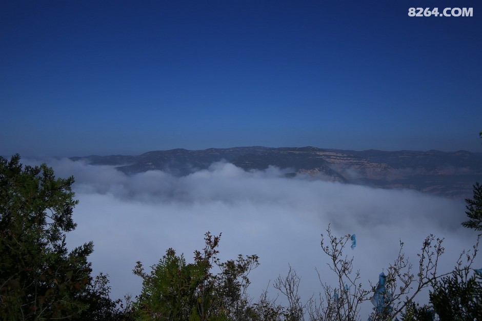 龙阁(合肥信地藏龙阁)