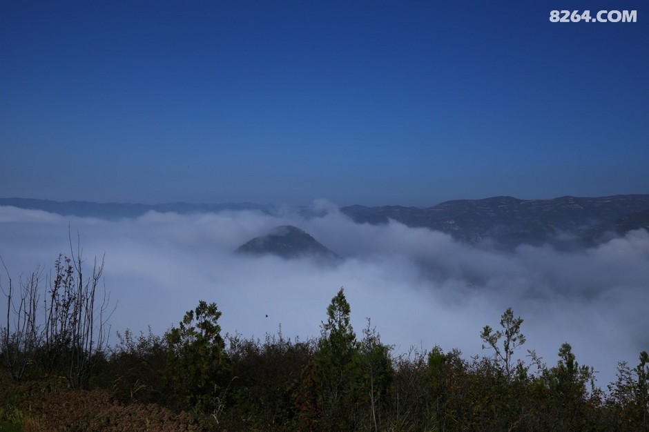 龙阁(合肥信地藏龙阁)
