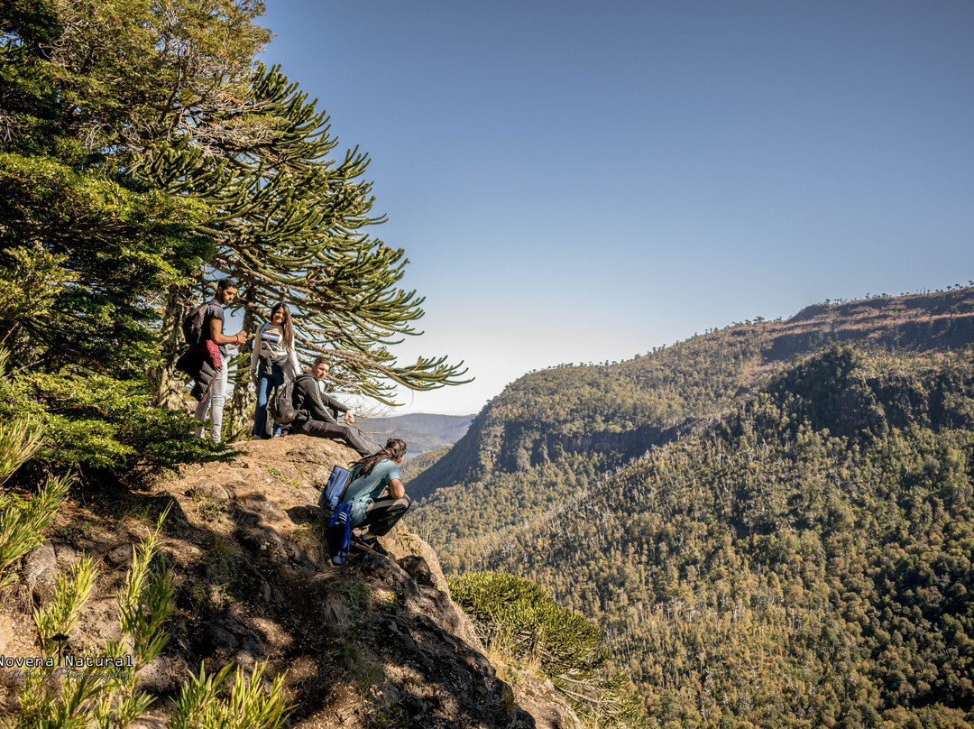 Paribu(Paribu交易所官网)