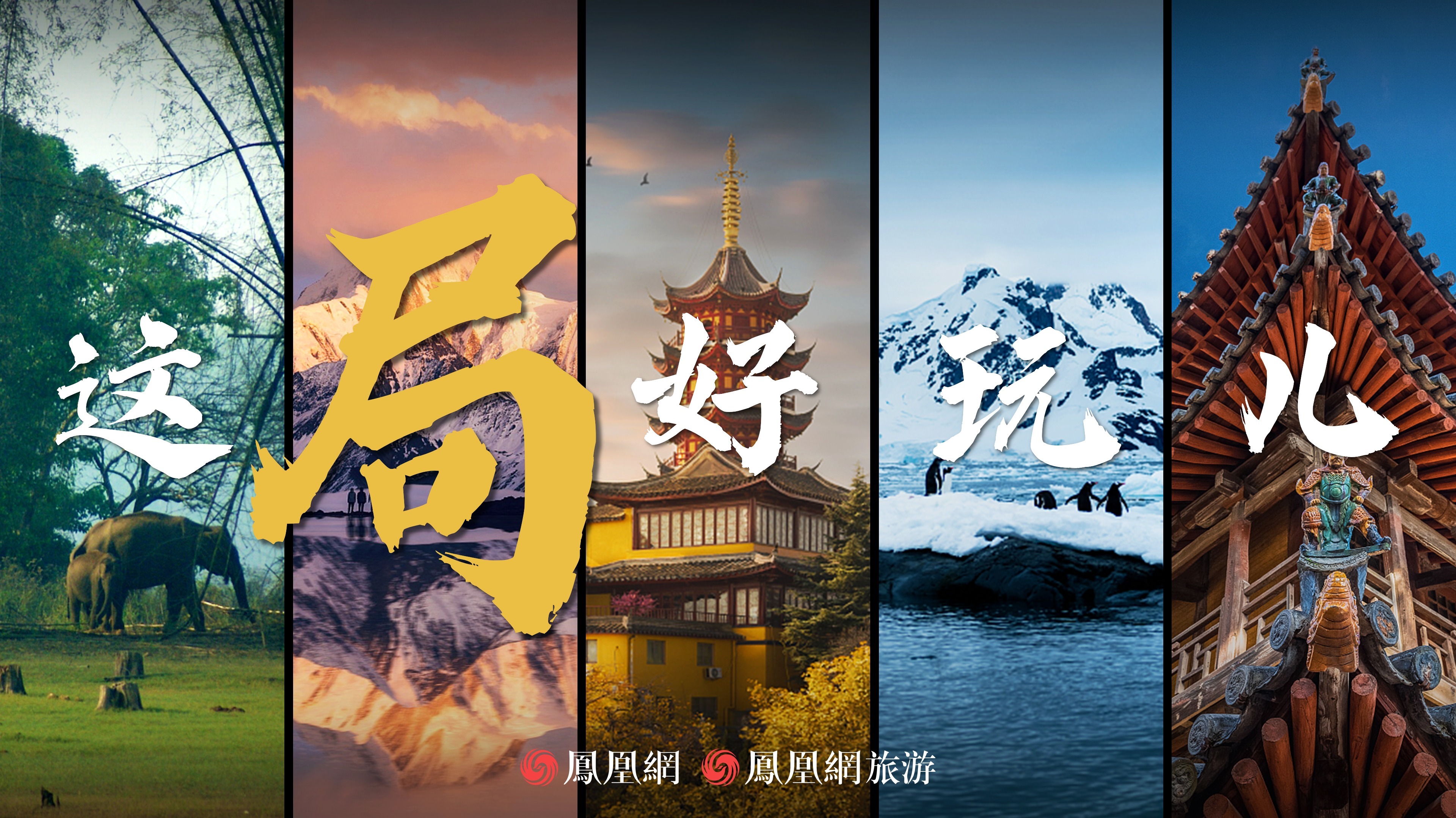 凤凰全球(凤凰全球彩开奖号码)