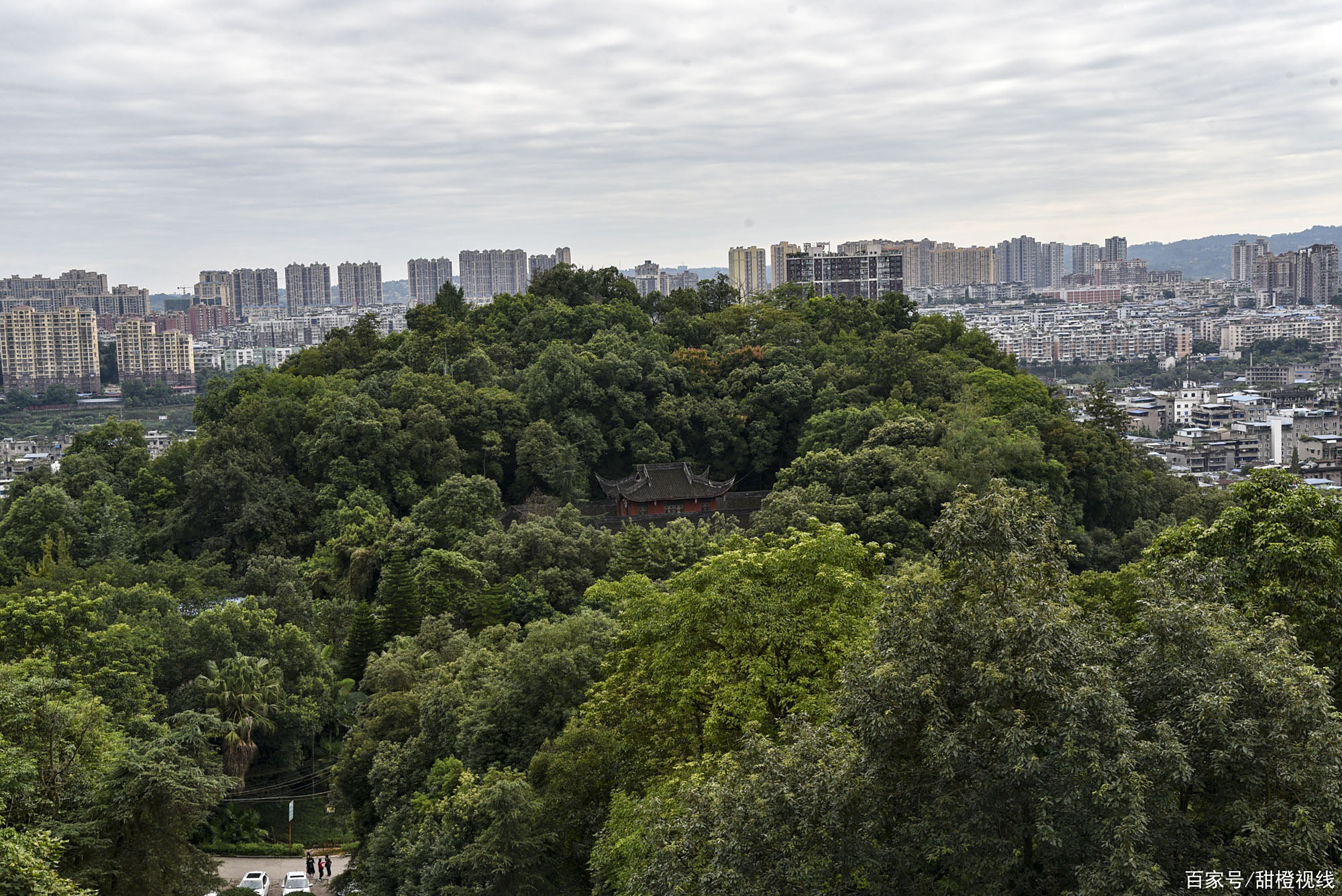 龙阁(正版澳门青龙阁)