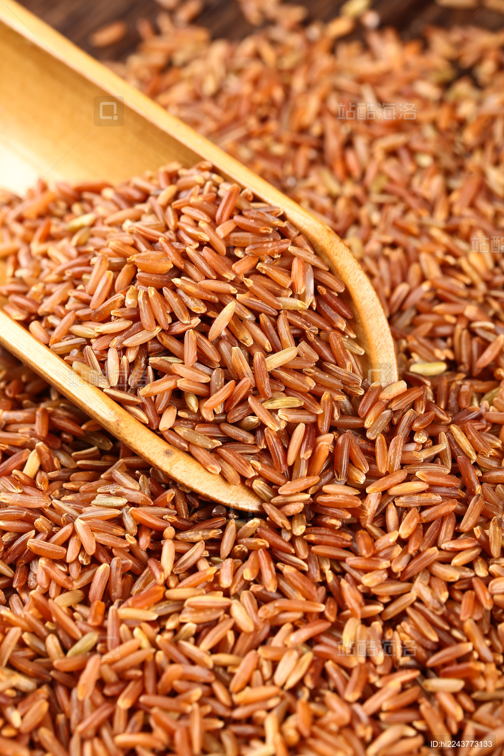 红米(红米k50至尊版)