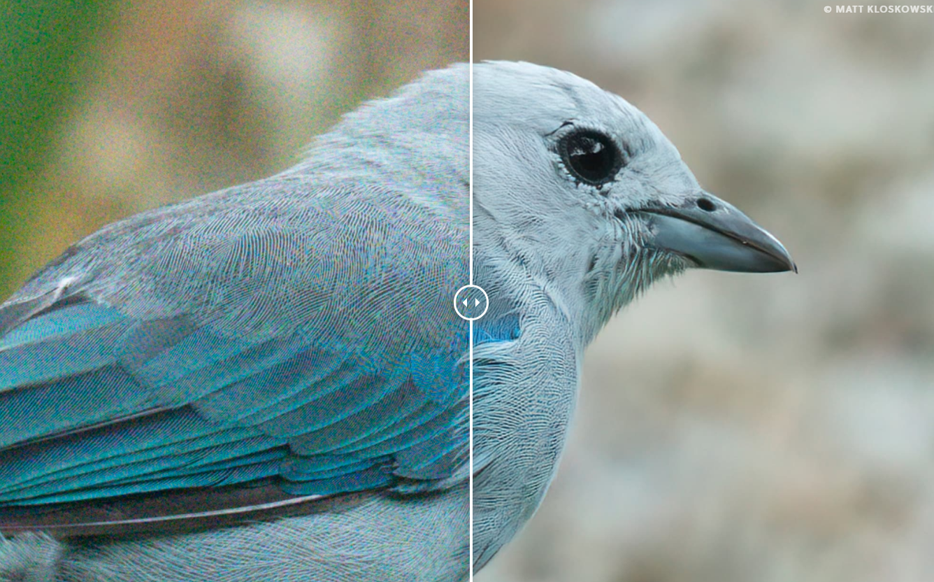 BitFly(bitflyer交易所正规吗)