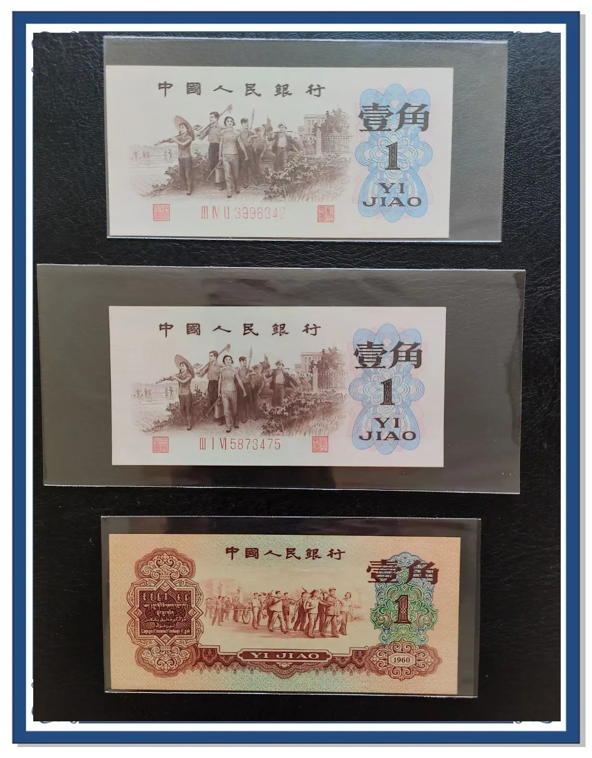 水币(水霉病怎么治疗最快最有效)