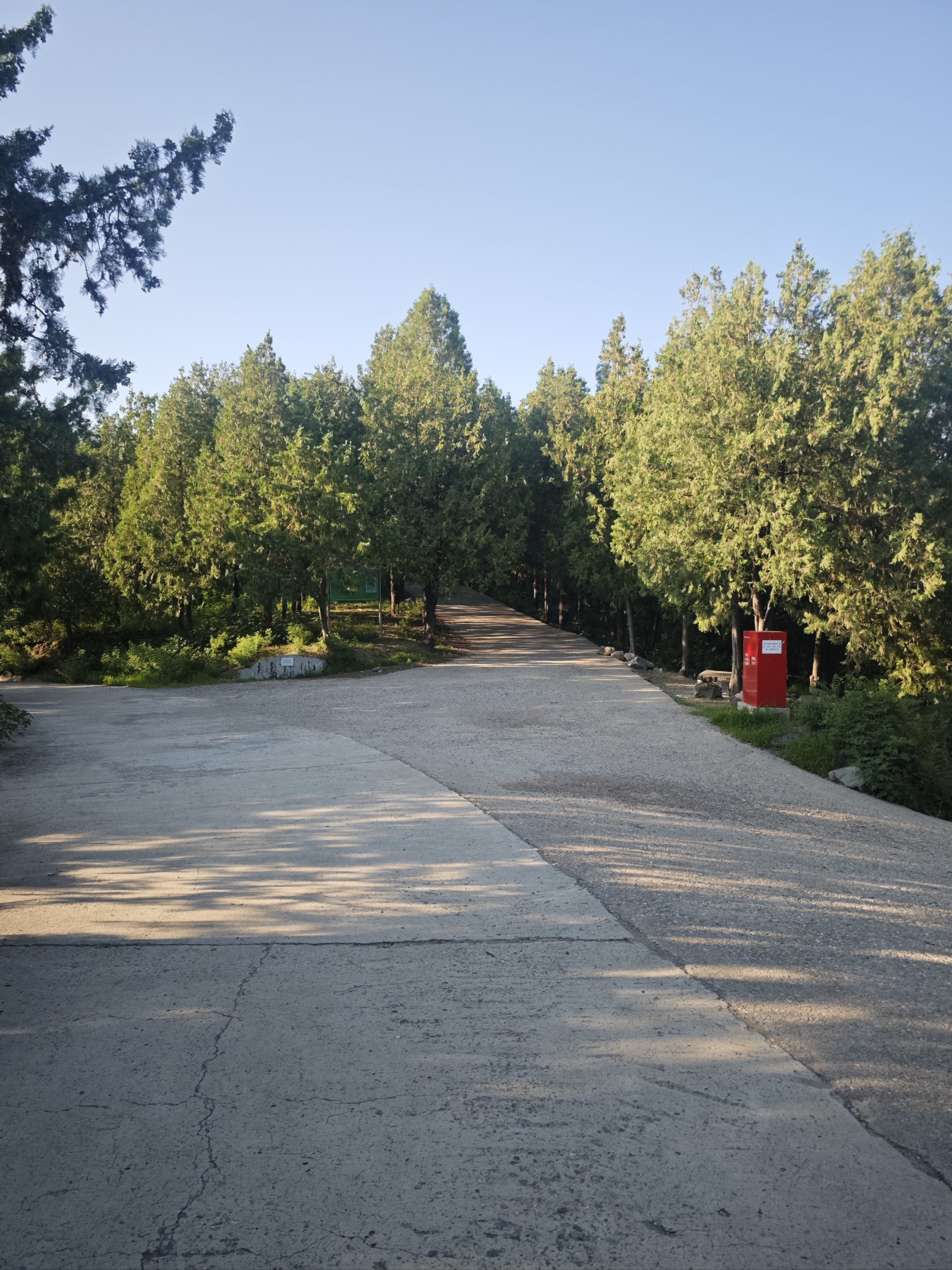 RSDT(人设的通俗理解) RSDT(人设的通俗理解)