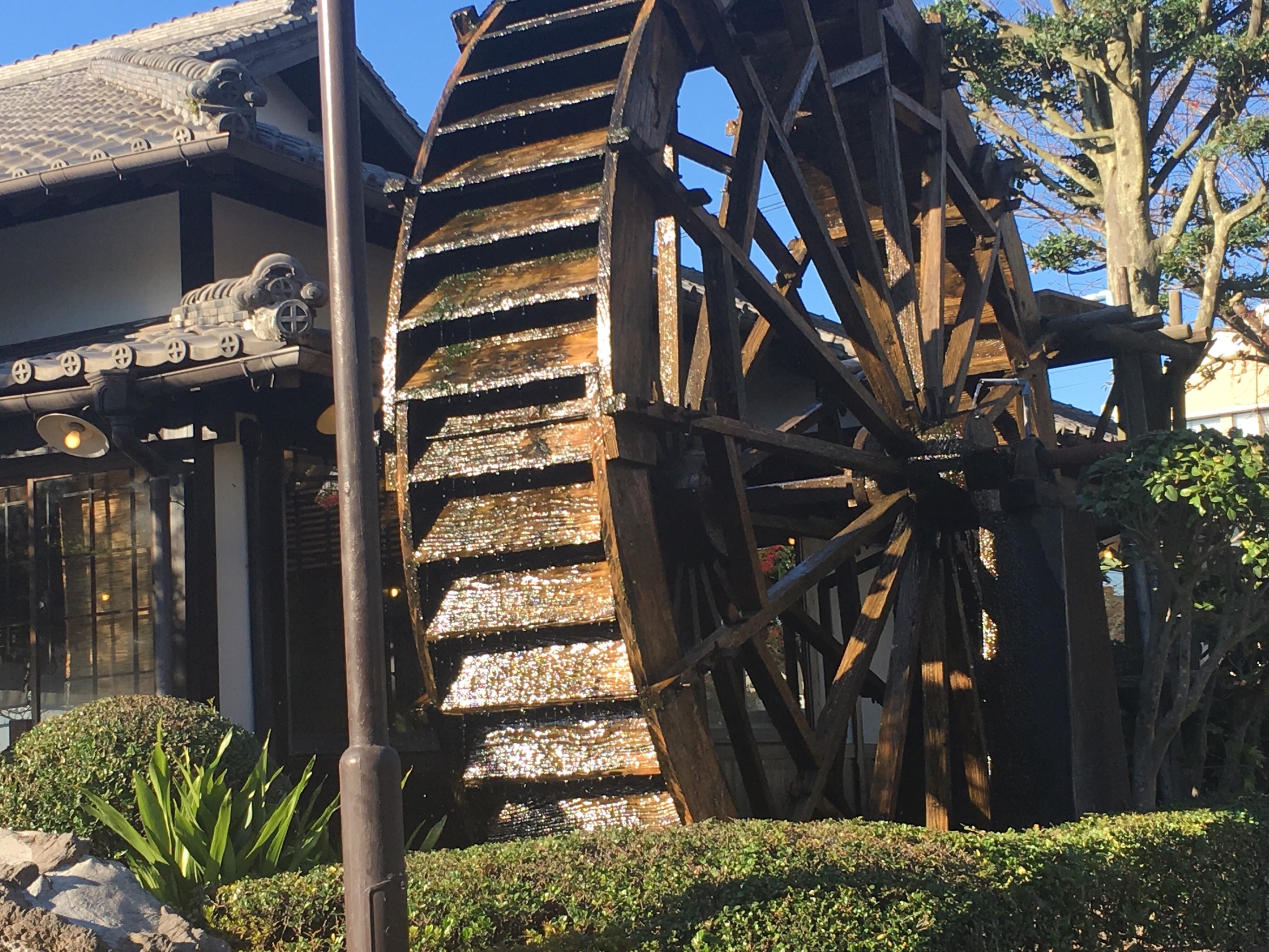 RSDT(人设的通俗理解) RSDT(人设的通俗理解)