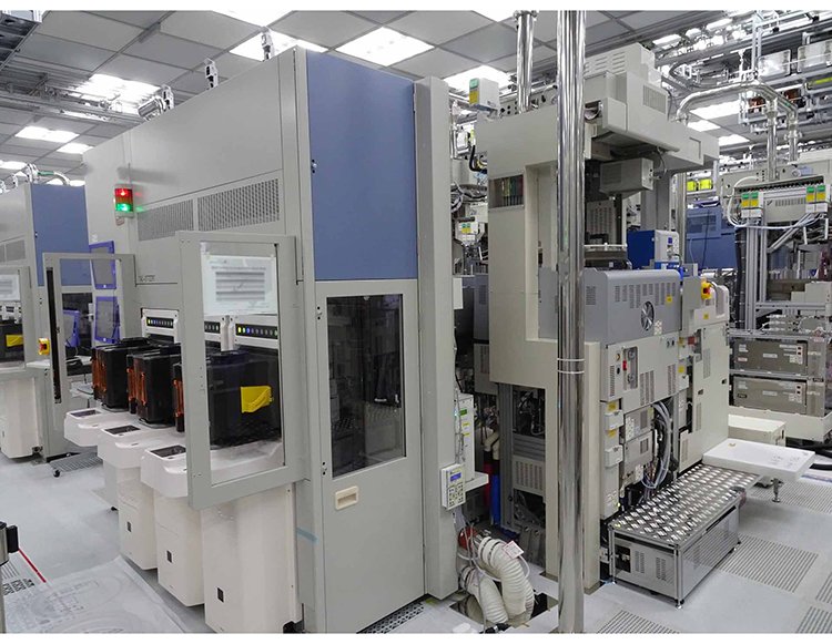 RSDT(榕树的特点)