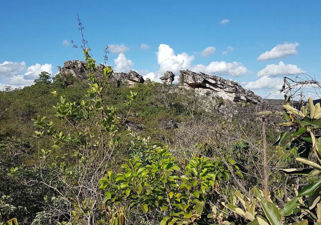 Paribu(paribus音标)