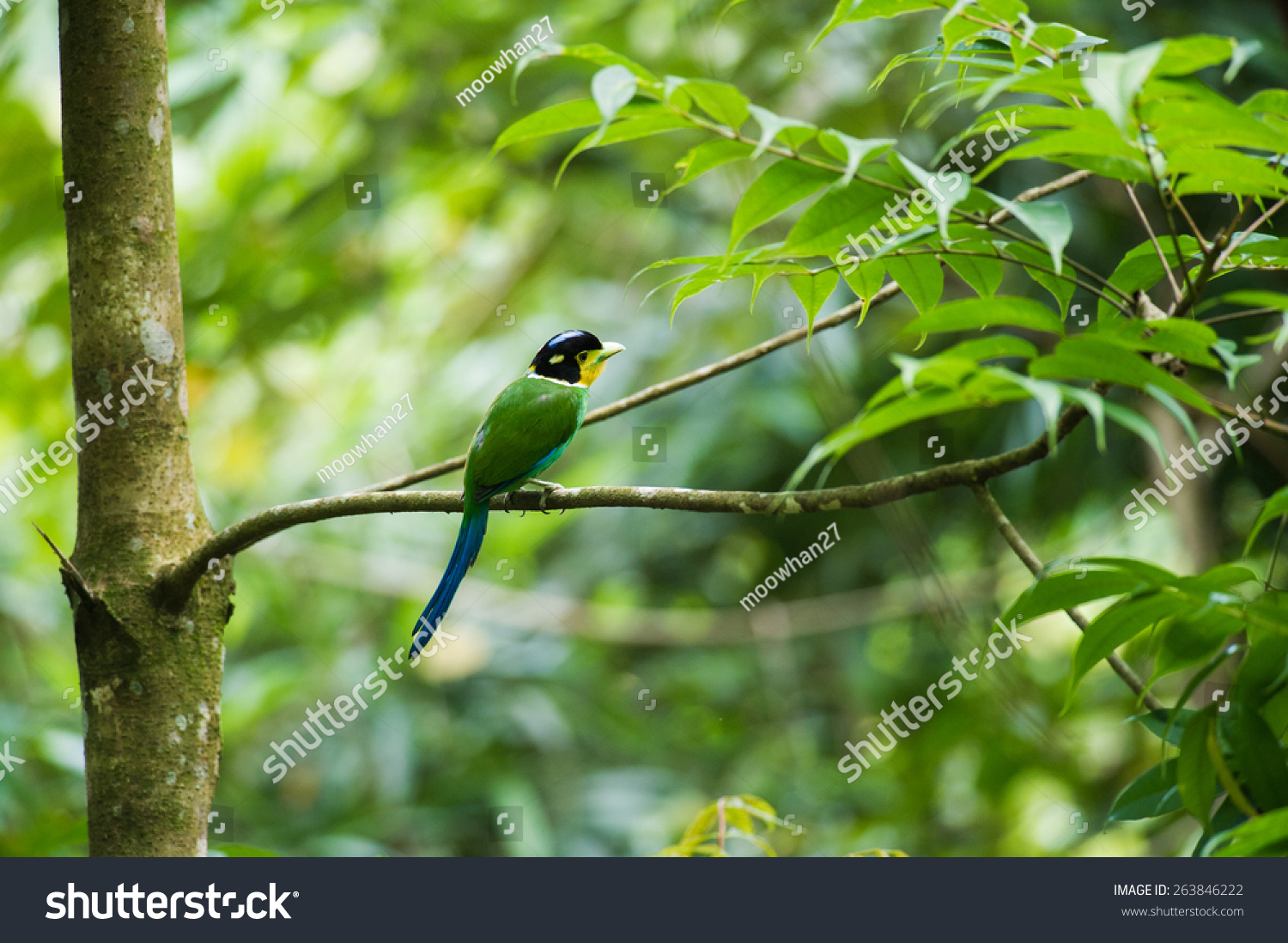 LongBit(longbit是正规的吗)