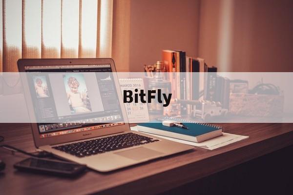 BitFly(bitflyer为什么提不了币)